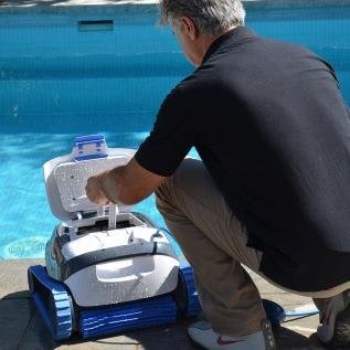 dolphin-s100-nogalpark