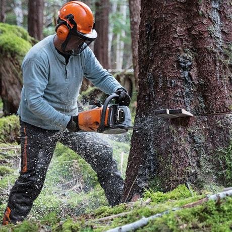 motosierra stihl ms462 nogalpark