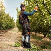 tijera de corte Stihl a bateria Nogalpark